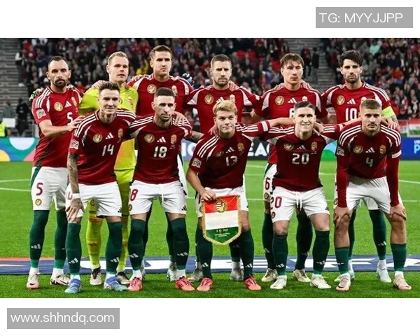 波黑足球星的崛起与挑战：从草根到国际舞台的奋斗历程